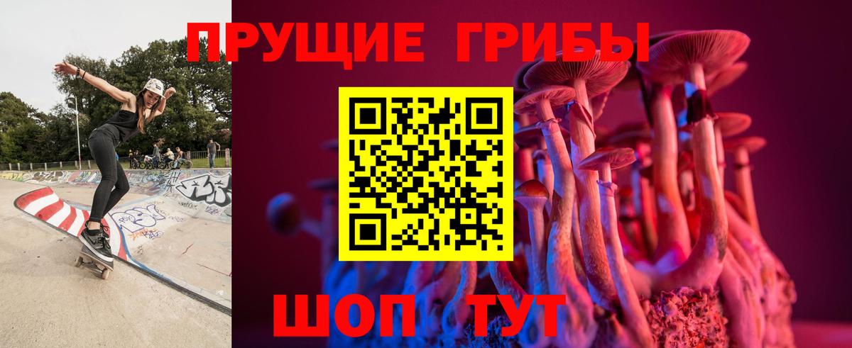Галлюциногенные грибы Psilocybine cubensis Волжский